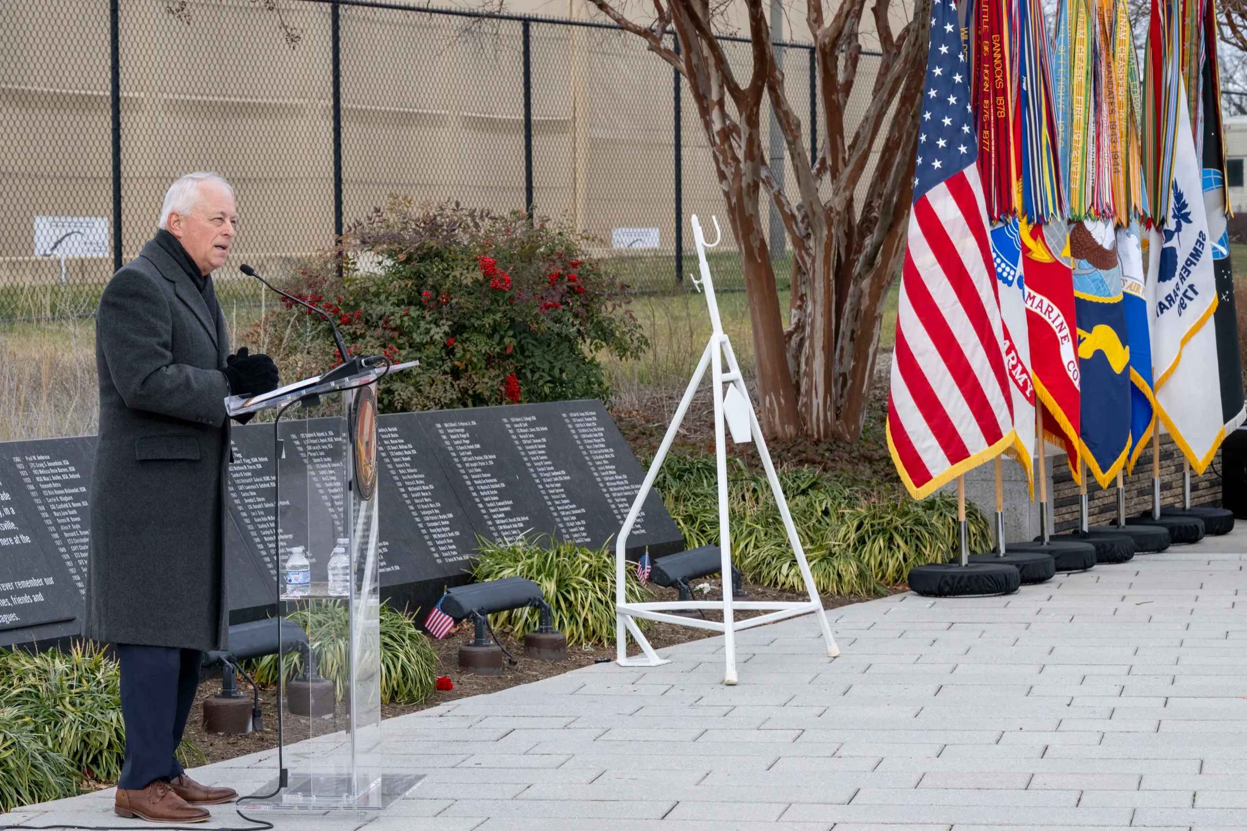 A senior official speaks at a Department of Defense ceremony